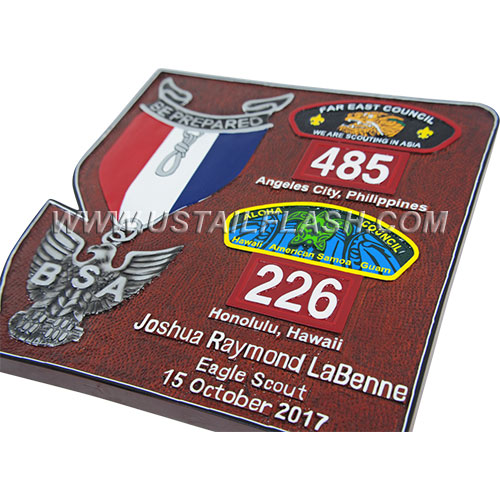 Eagle with Two Council Plaque